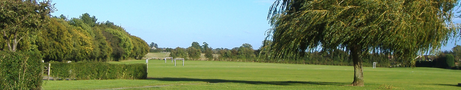 Image of playing field