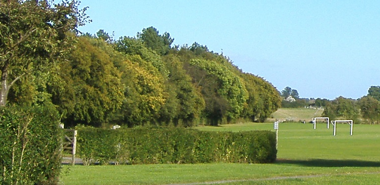 Image of playing field